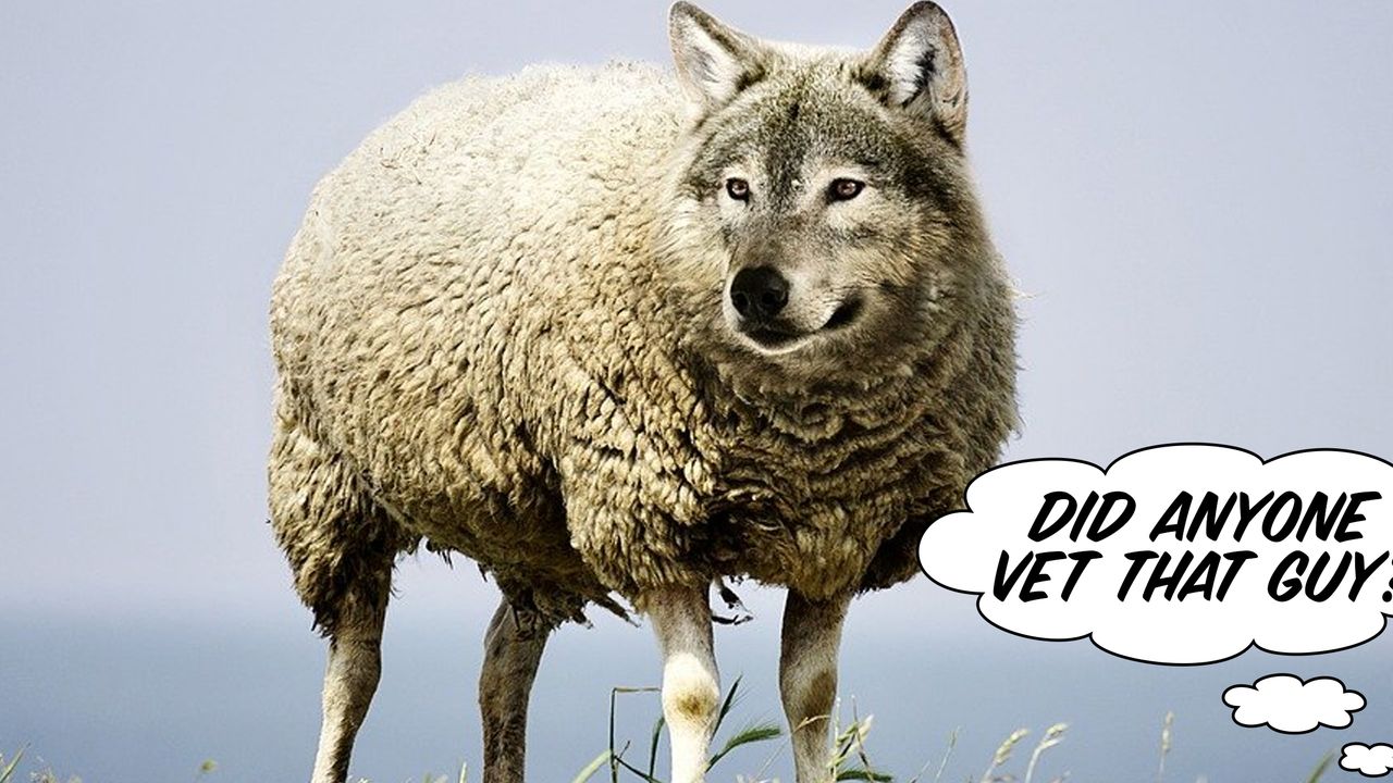 wolf