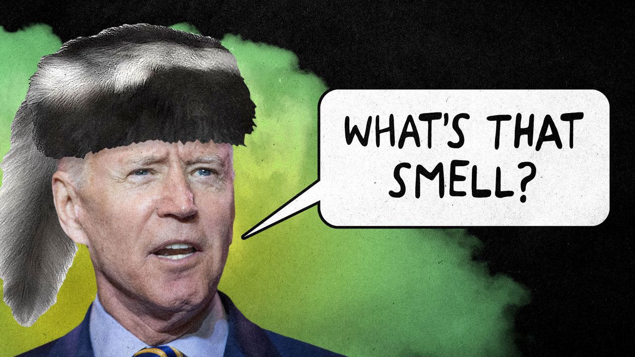 skunk