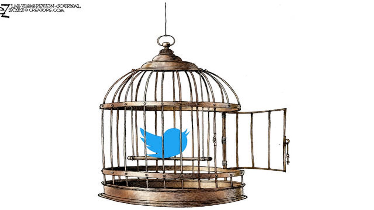 twitter