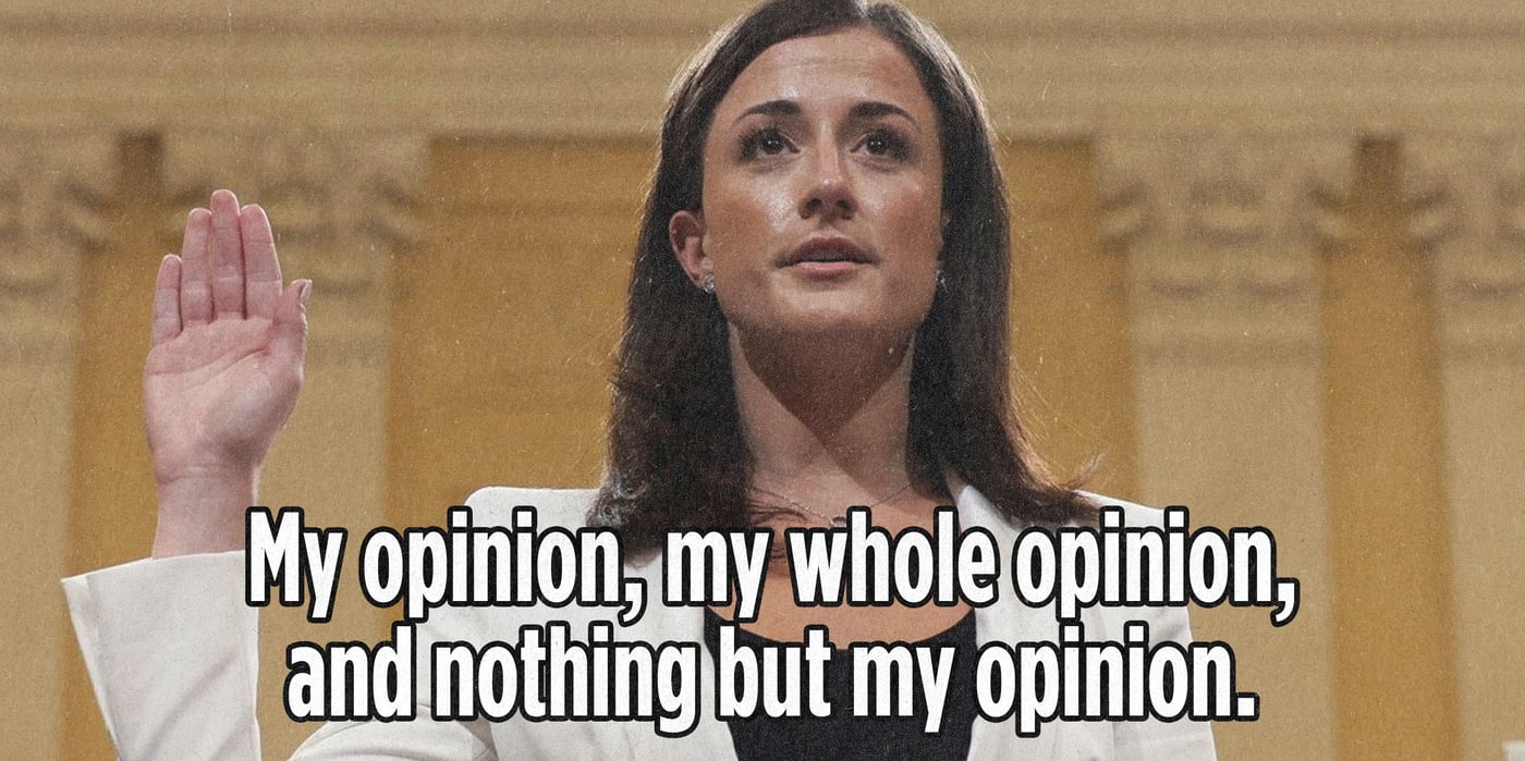 opinion