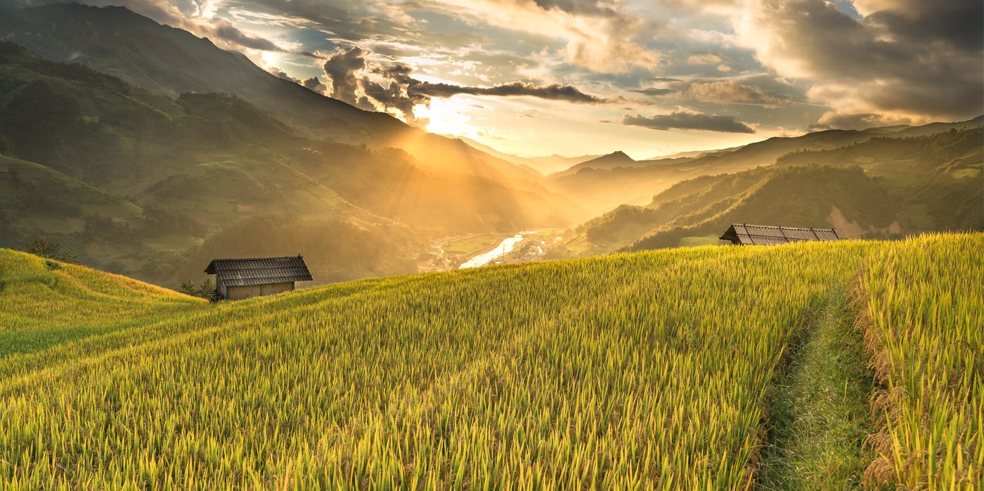 agriculture