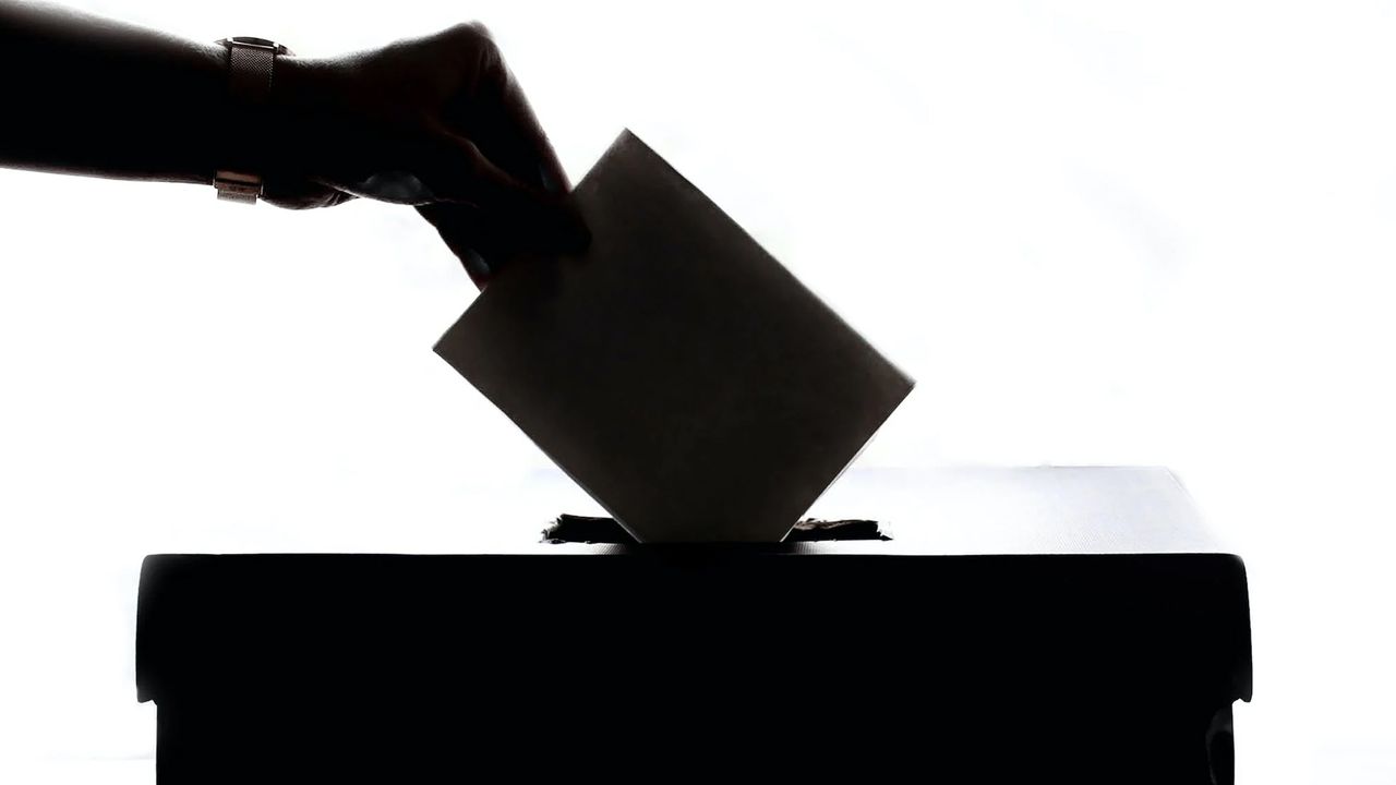 vote