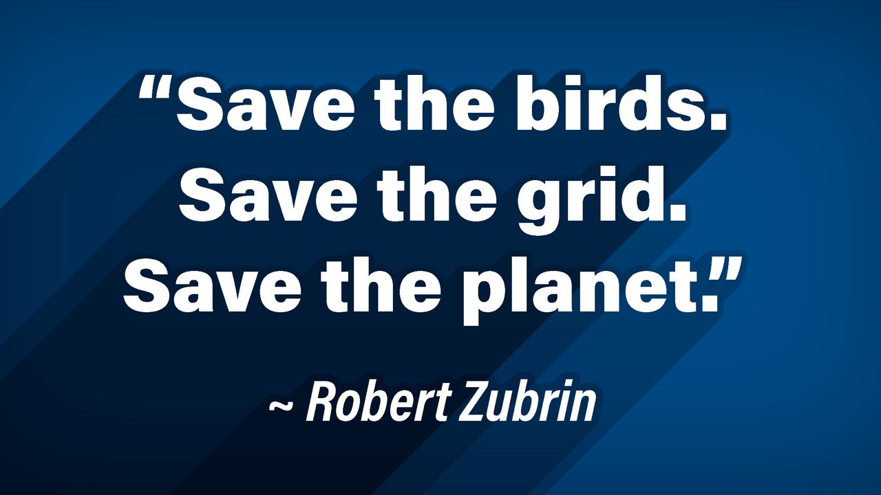 Quote Brief 11 2