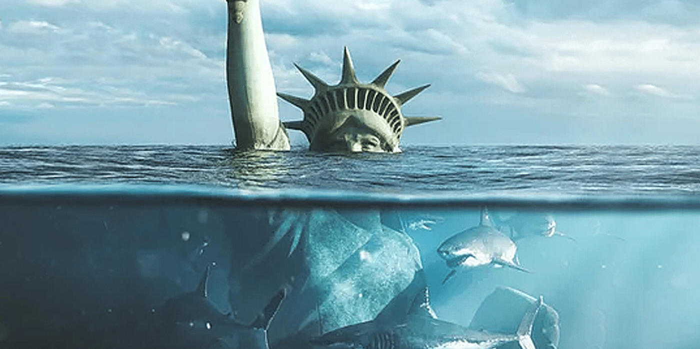sharks