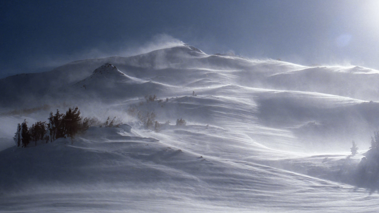 blizzard
