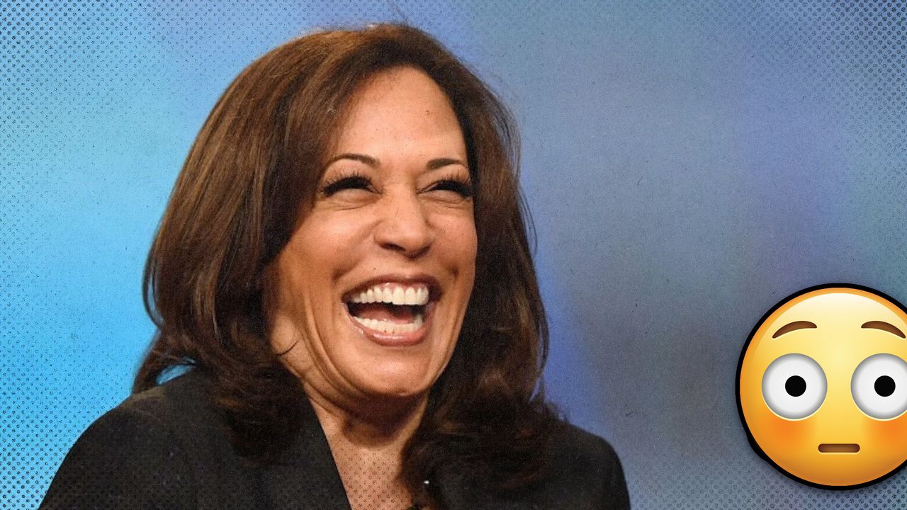 2023 5 8 kamala ai czar