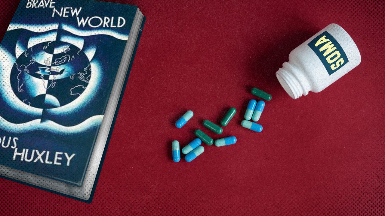 2022 11 8 brave new world soma