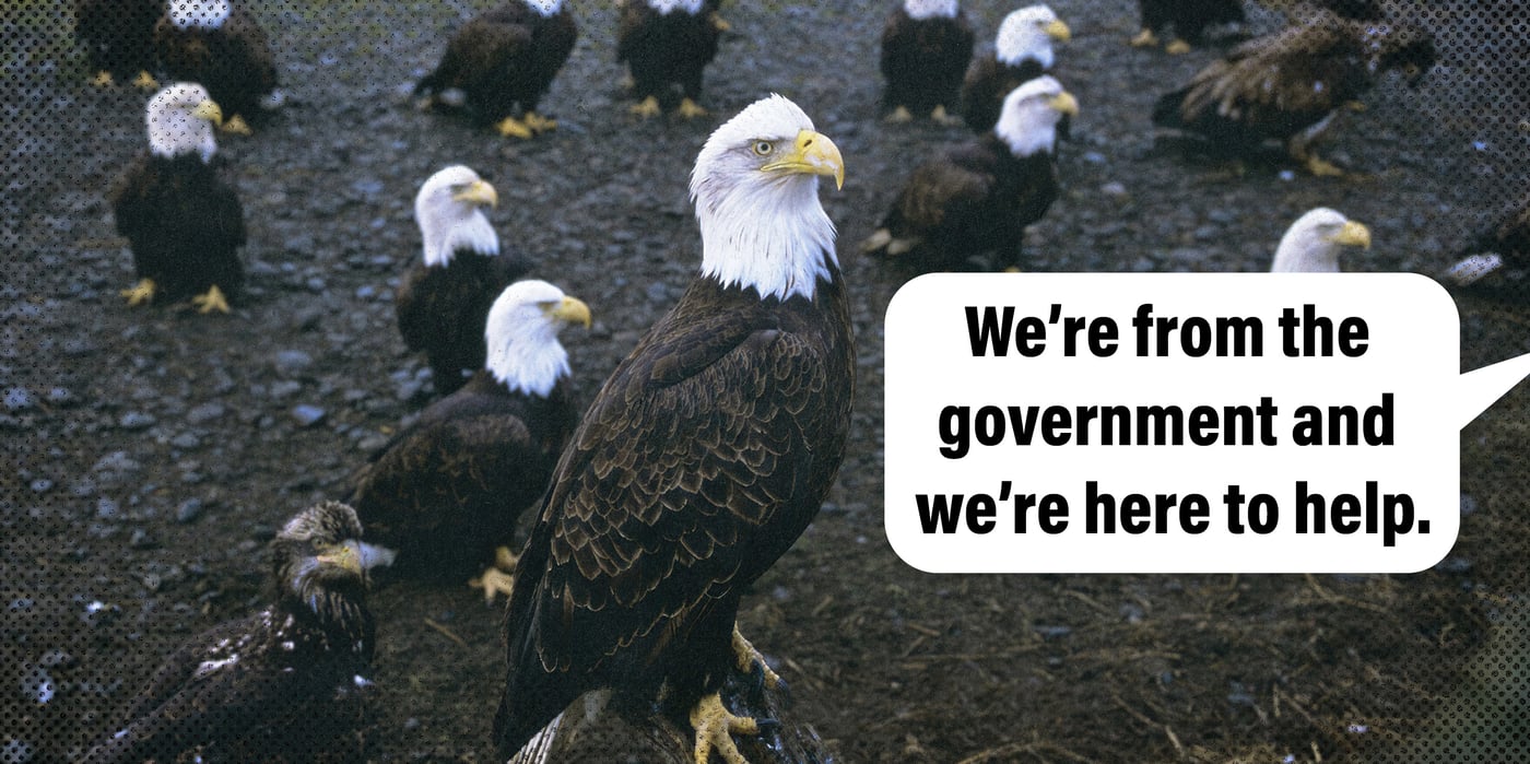 2024 1 2 eagles esa
