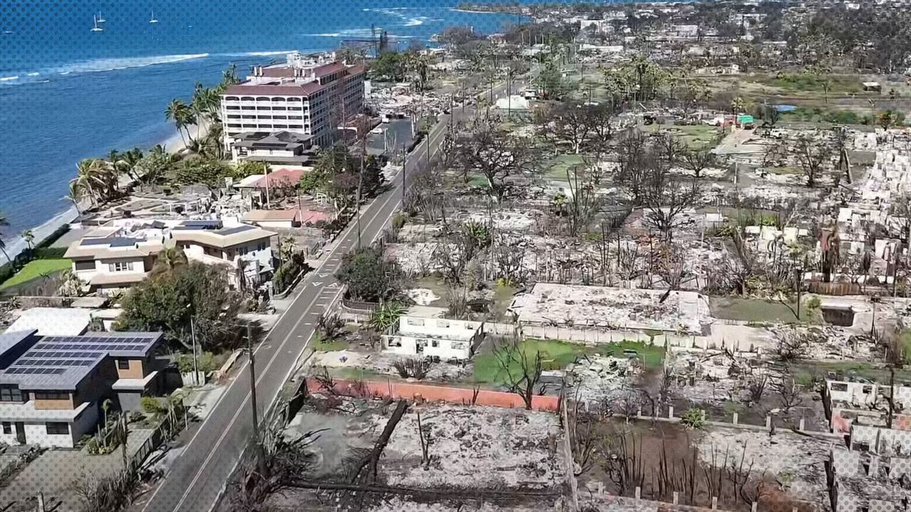 2024 1 24 lahaina