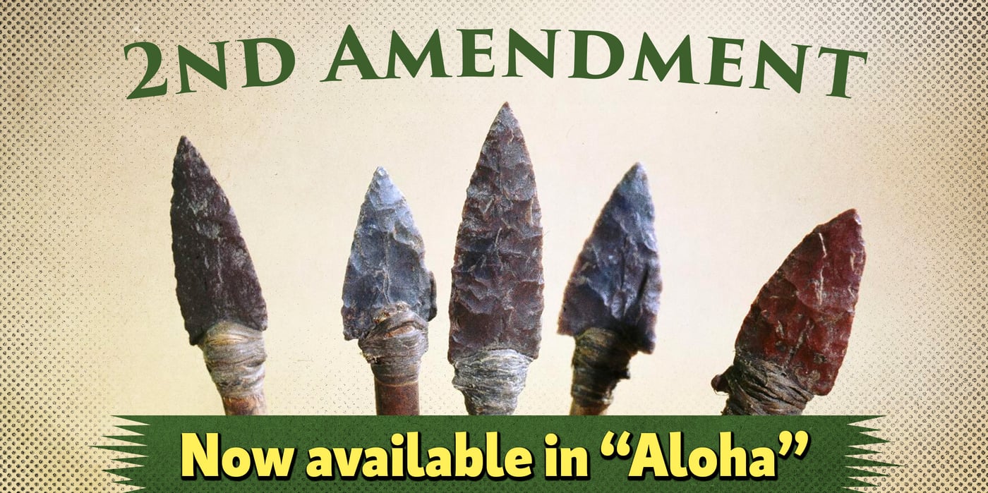 2024 2 12 aloha 2nd amendment
