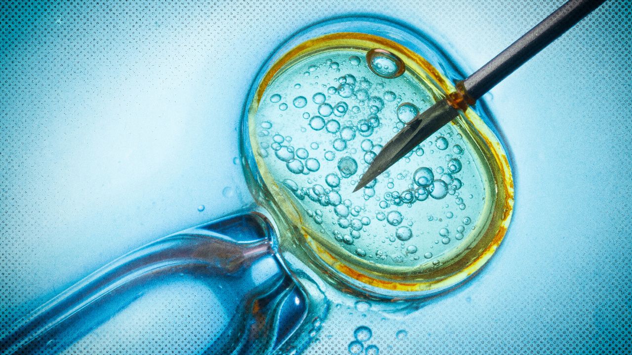 2024 2 29 IVF