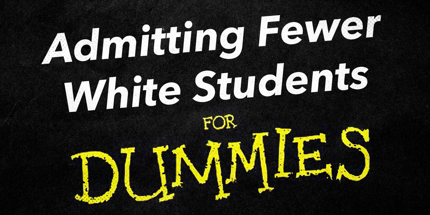 2024 3 13 affirmative action dummies