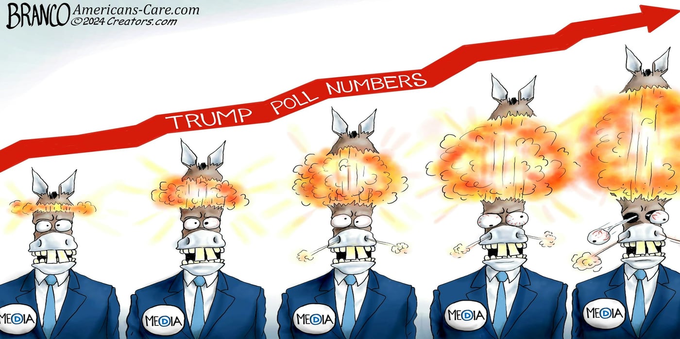 media