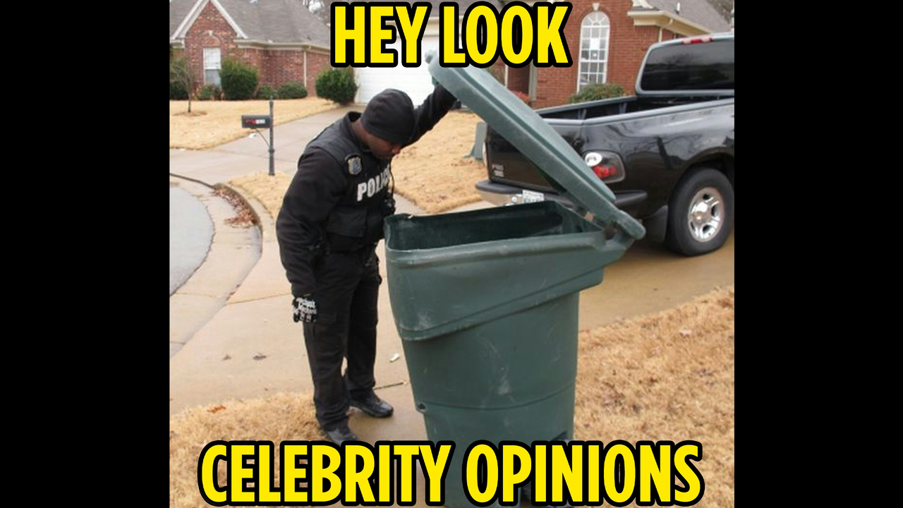 opinion