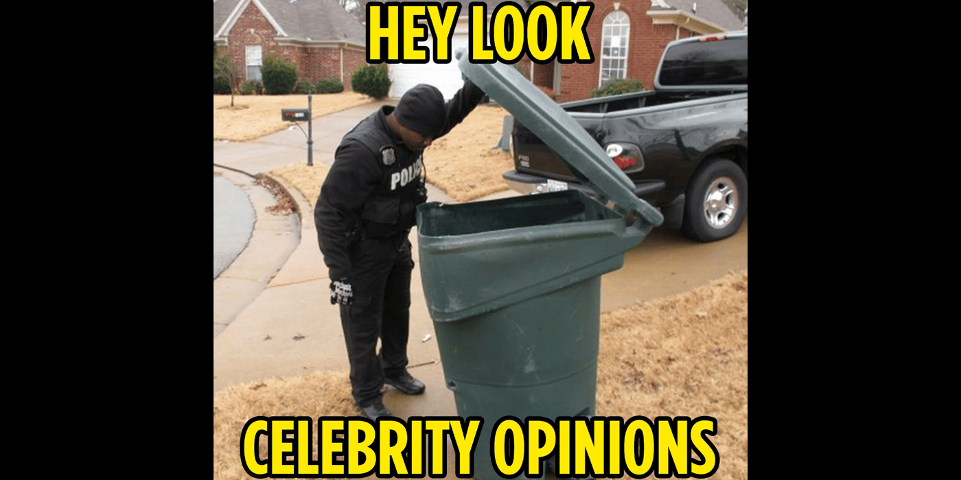 opinion