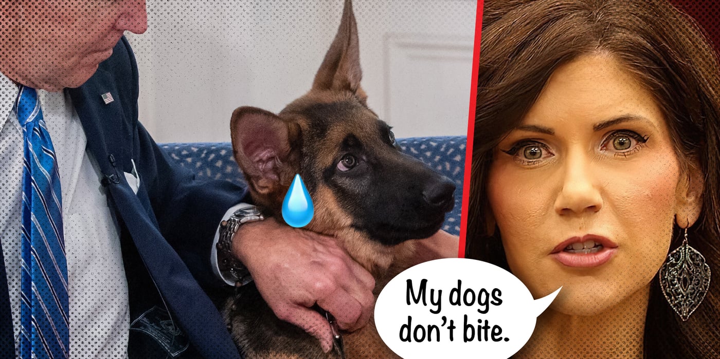 2024 4 30 kristi noem dog kill bite