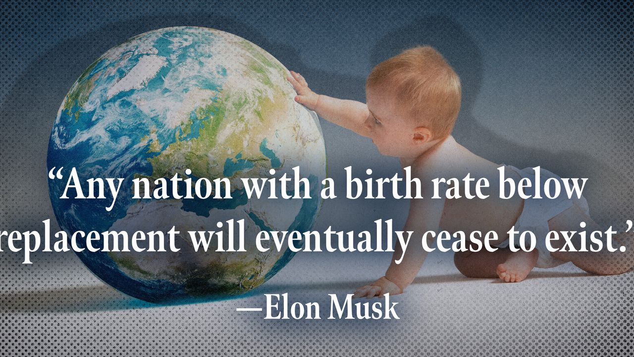 2024 5 1 elon quote birth rate