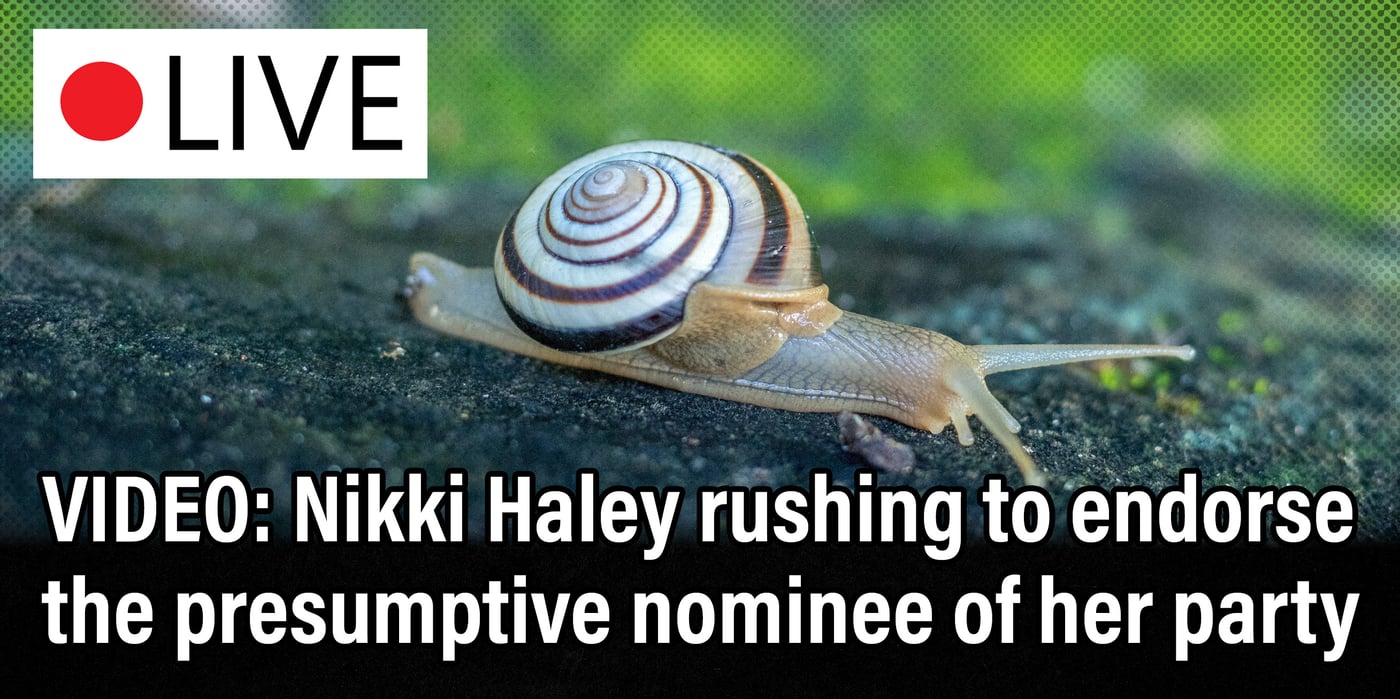 2024 5 24 Haley endorsement