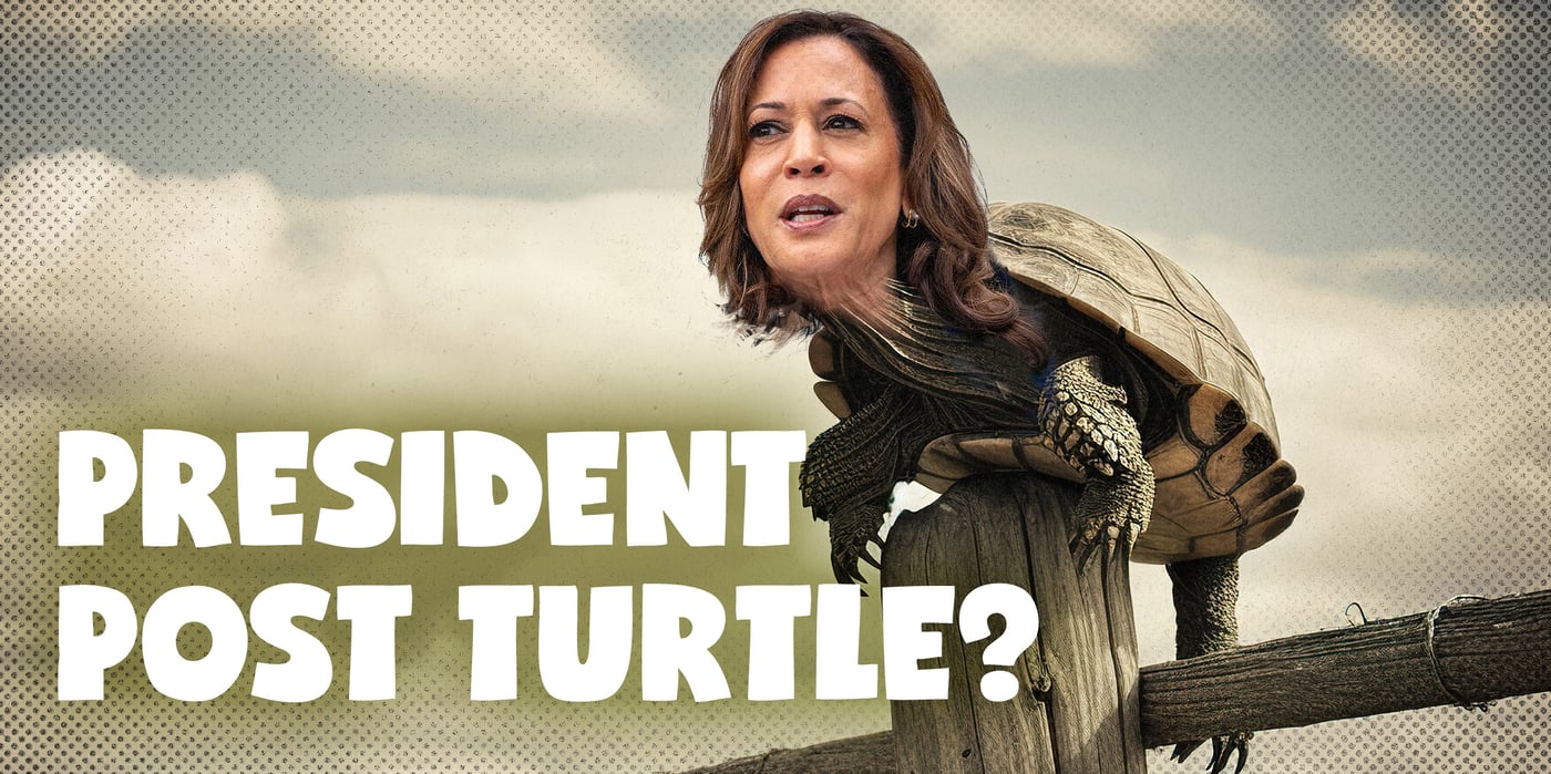 2024 7 30 Kamala post turtle