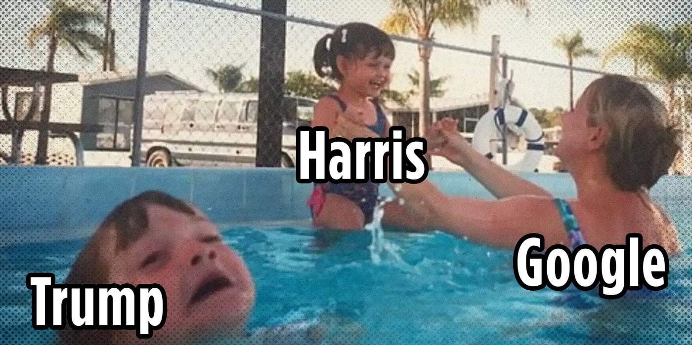 2024 8 5 google trump harris search results
