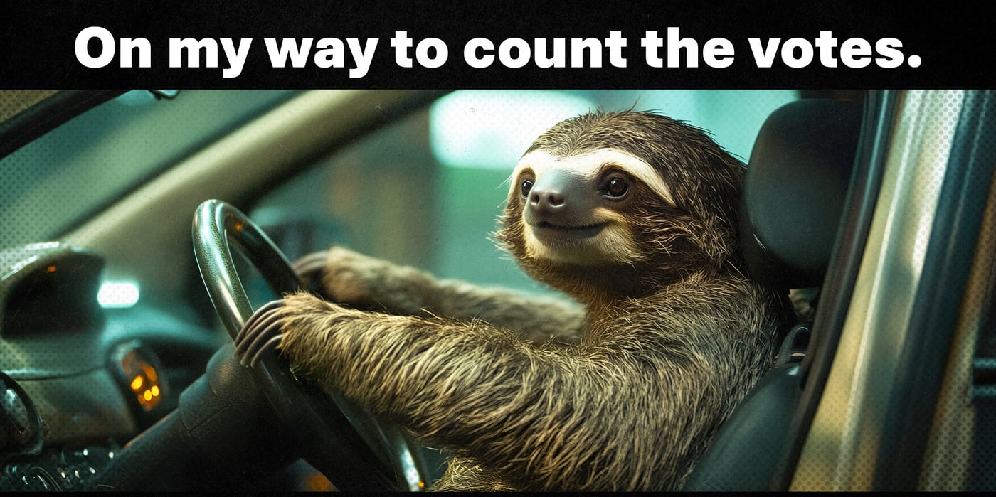 2024 11 5 sloth driving