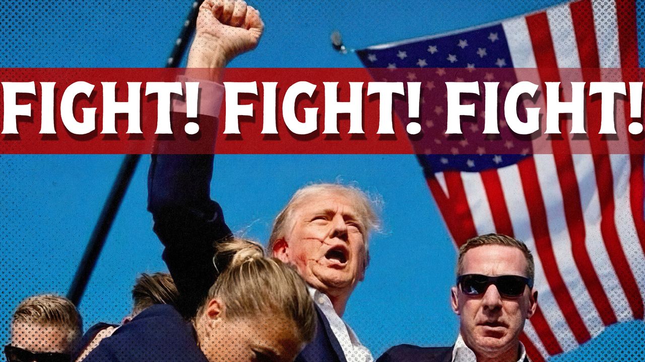 2024 11 6 trump fight