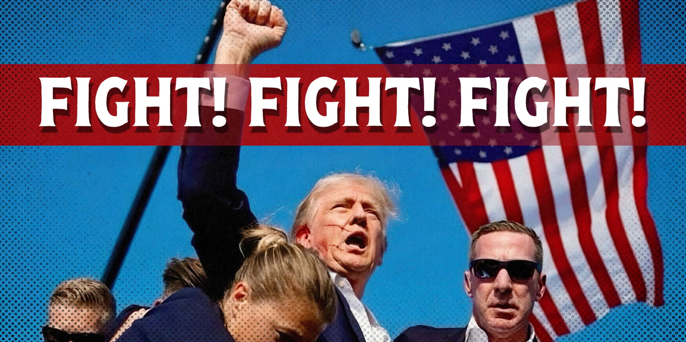 2024 11 6 trump fight