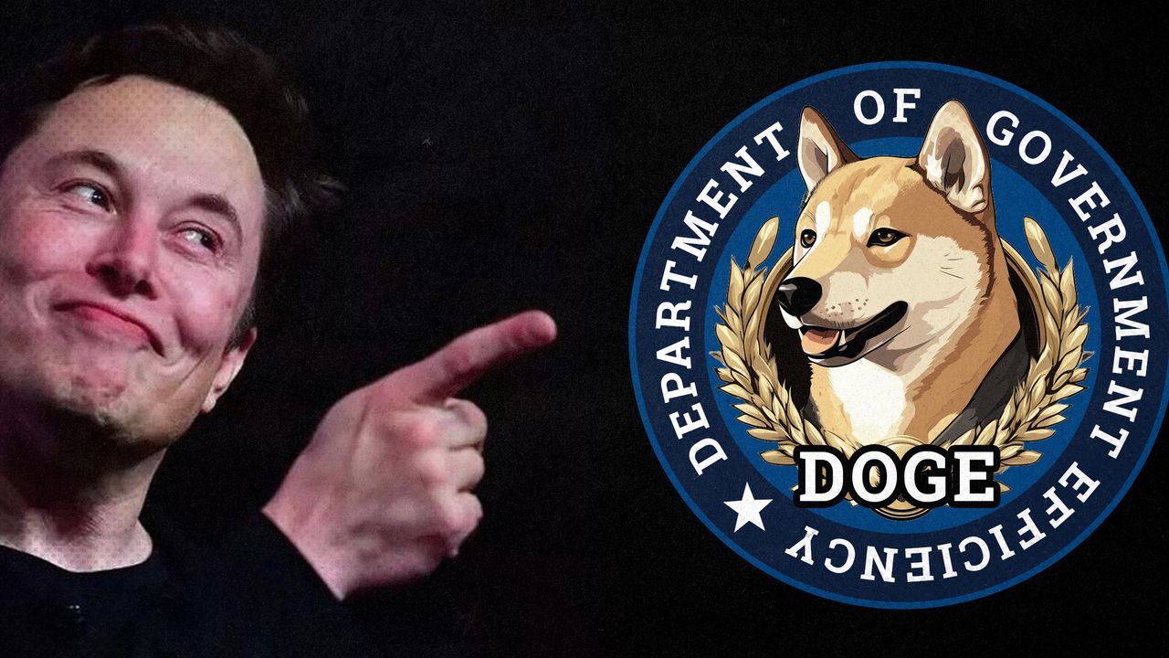 2024 11 13 doge government efficiency