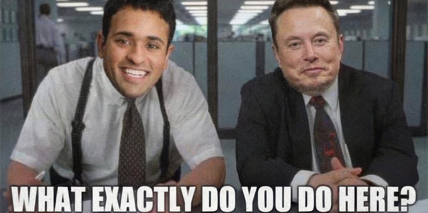 2024 11 25 doge musk ramaswamy