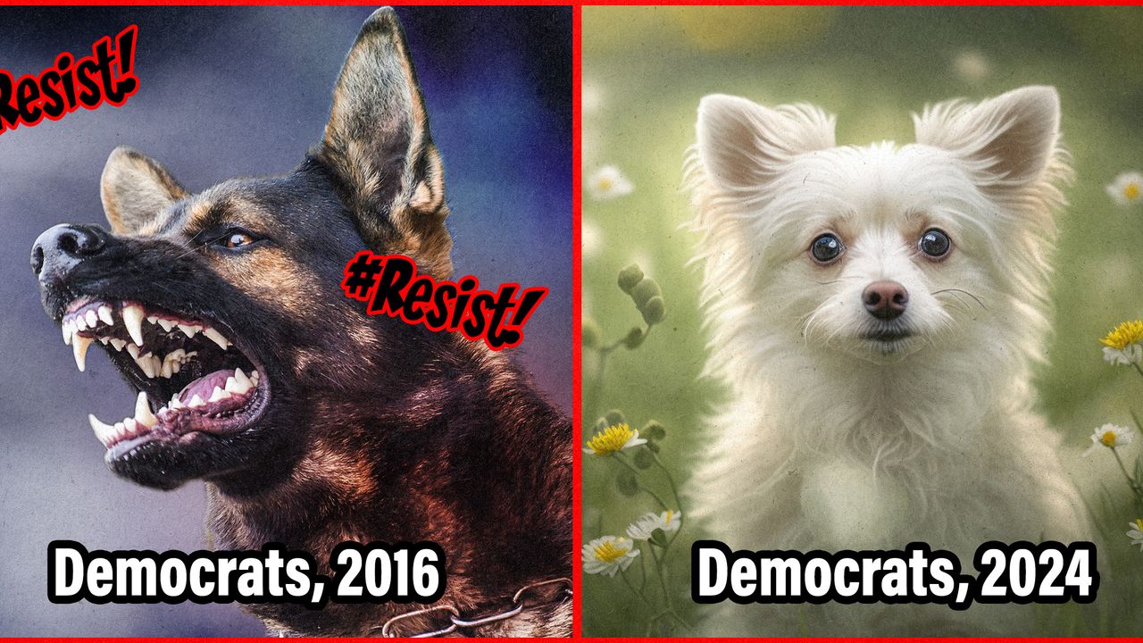 2024 11 26 dems 2016 vs 2024