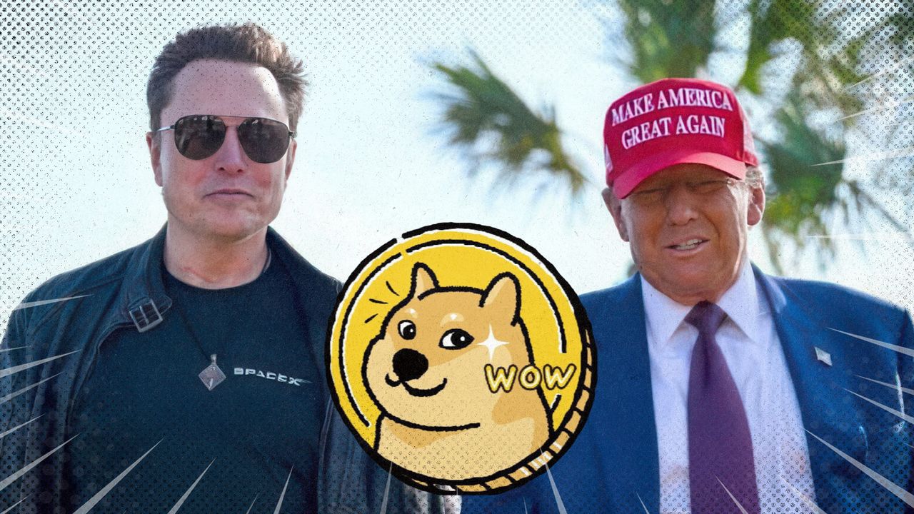 2025 2 10 doge success