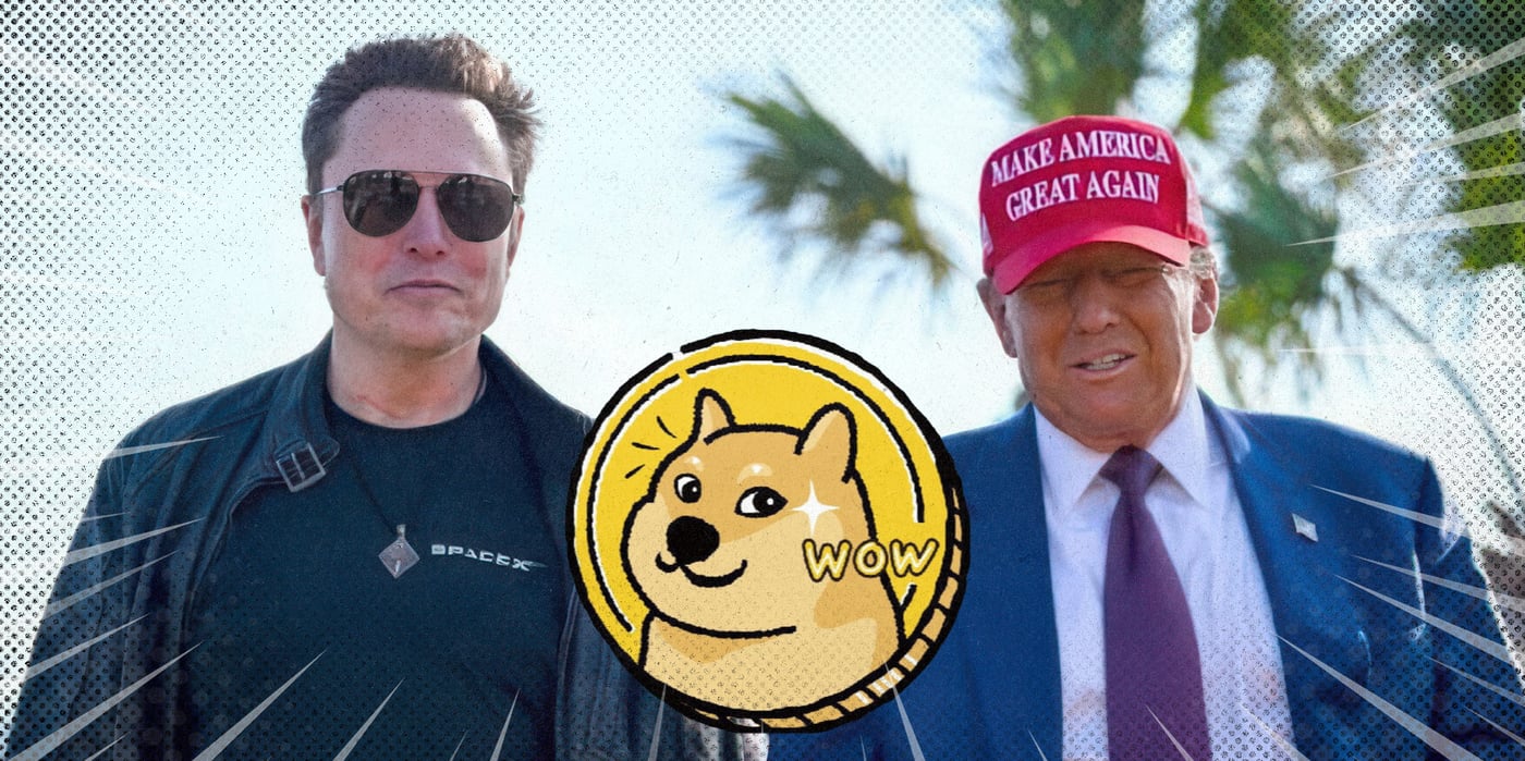 2025 2 10 doge success