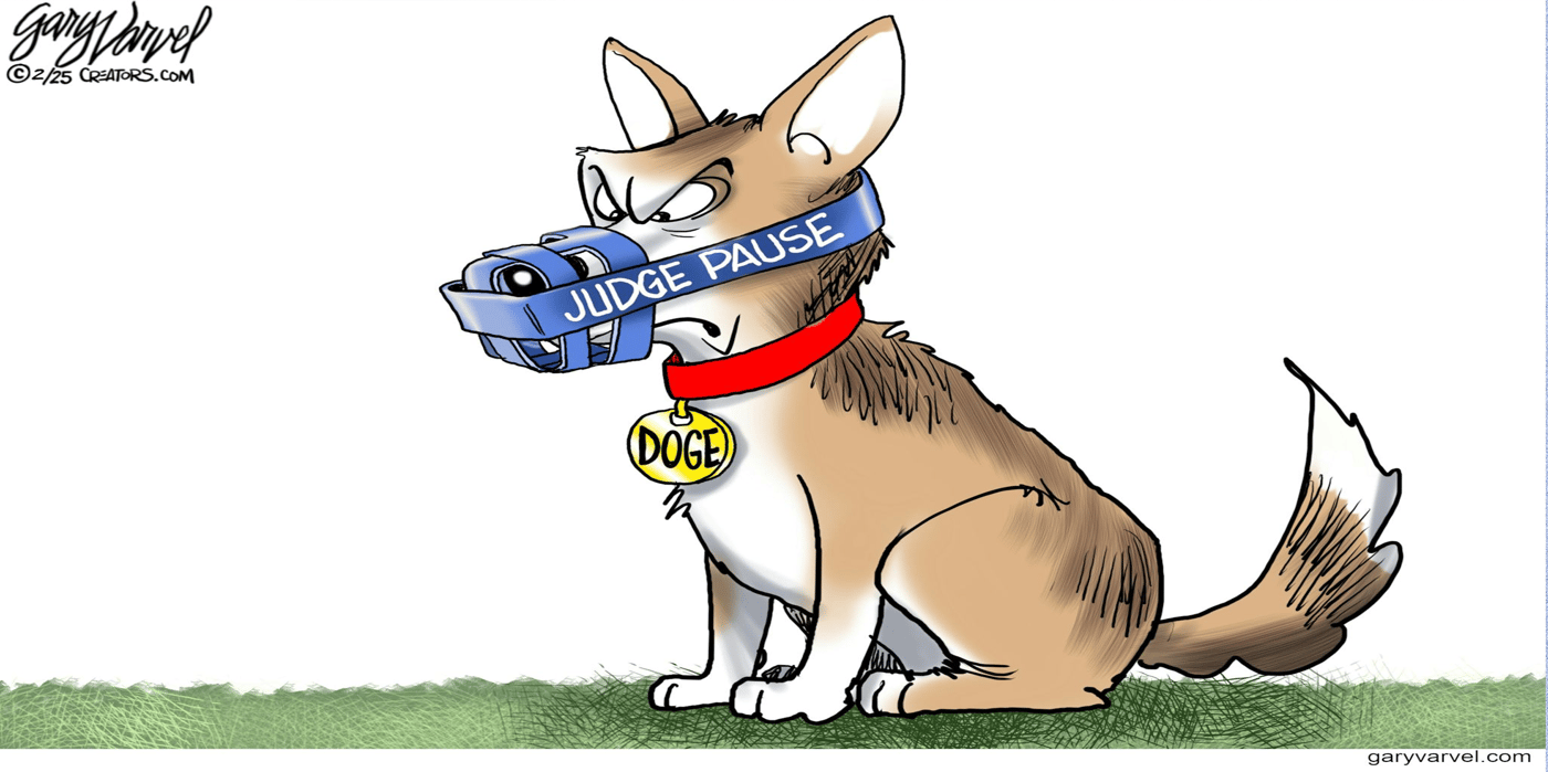 doge