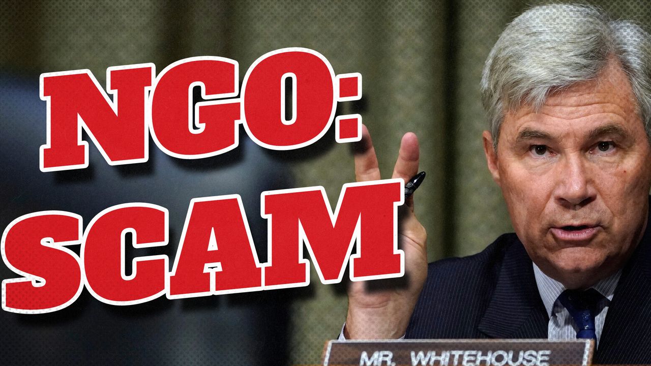 2025 3 3 ngo scam whitehouse