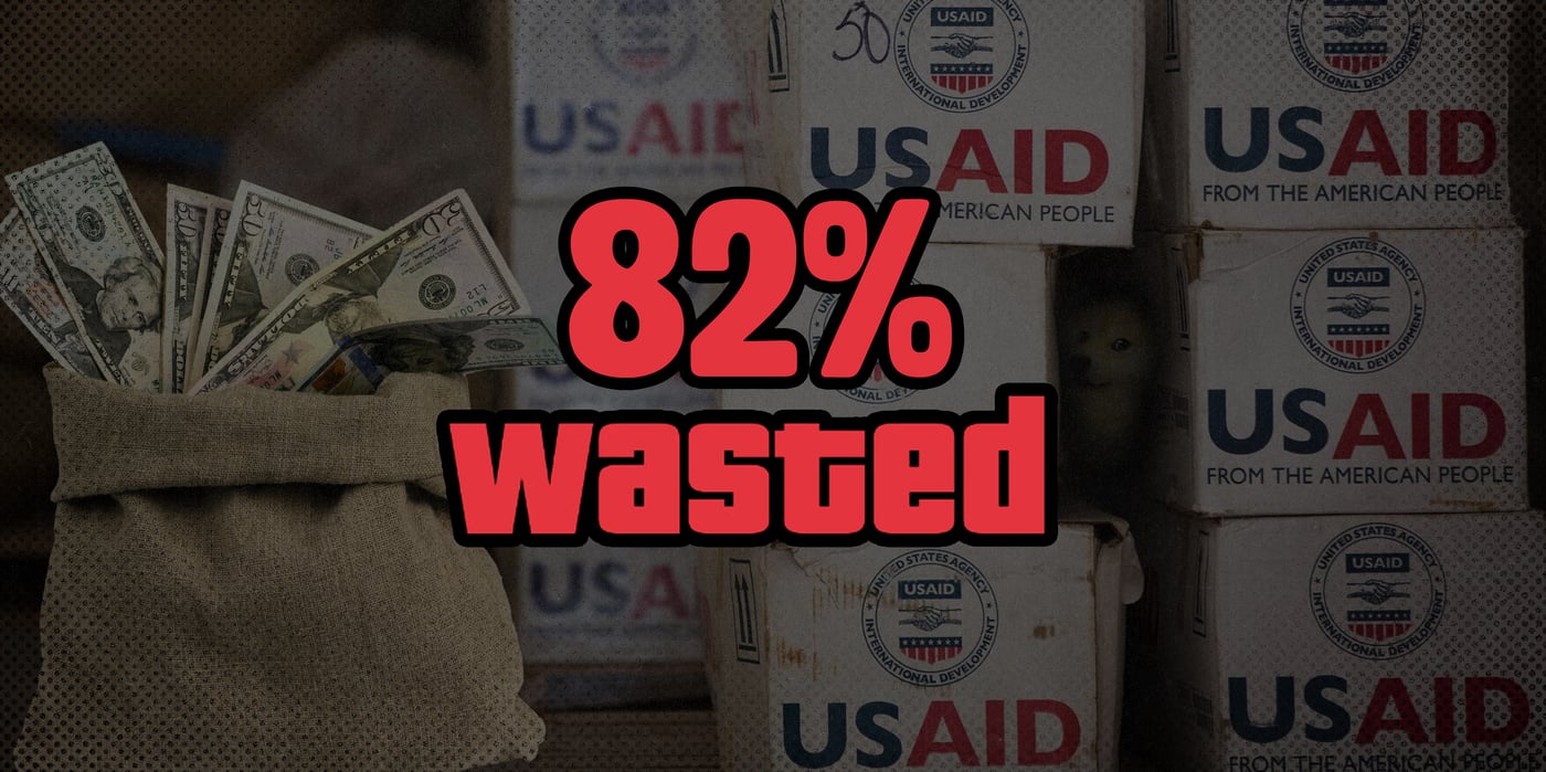 2025 3 12 doge cuts usaid