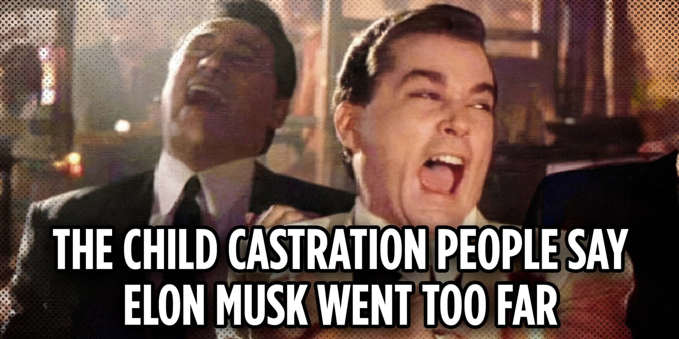2025 4 25 elon musk too far