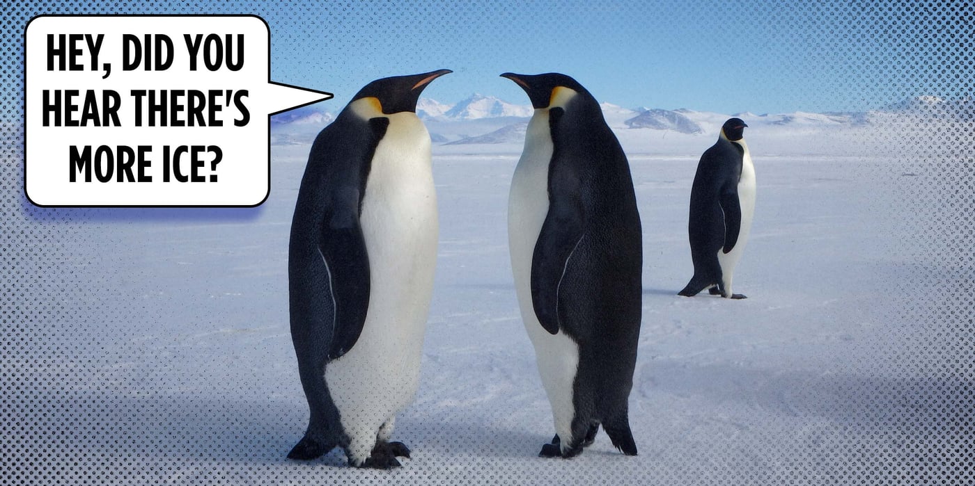 2025 5 7 antarctica more ice
