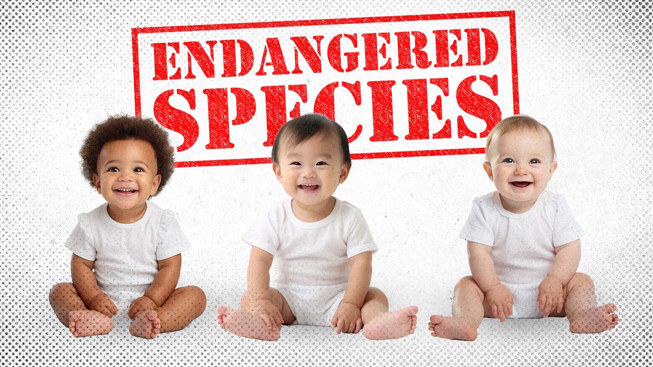 2025 7 28 endangered species baby