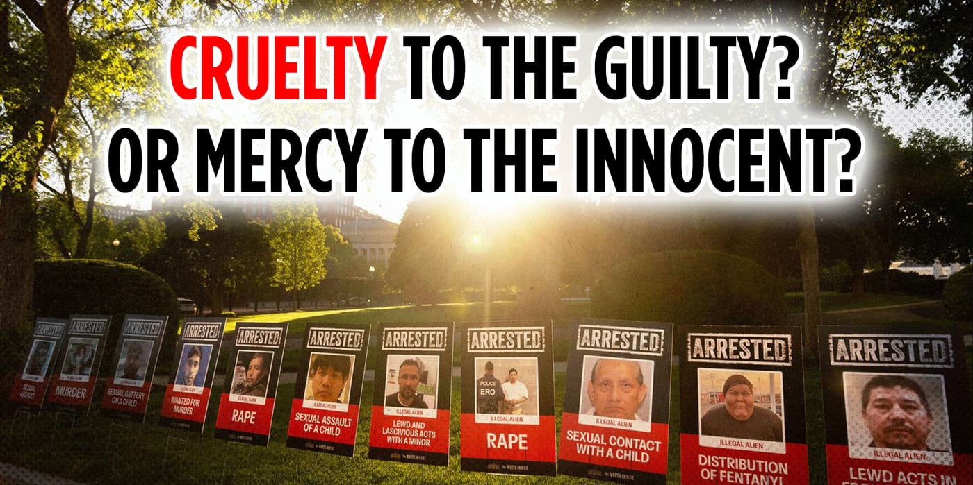 2025 7 31 deportation criminals cruelty innocent
