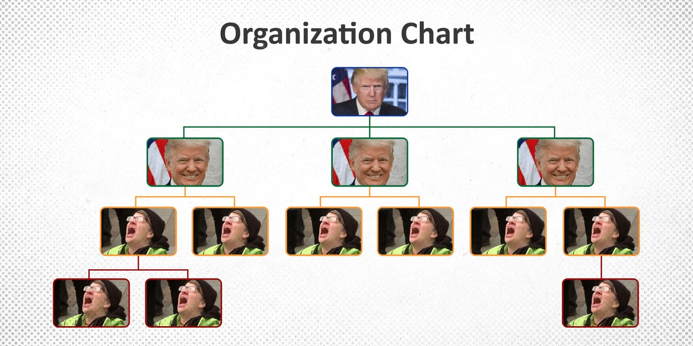 2025 8 26 trump organization chart