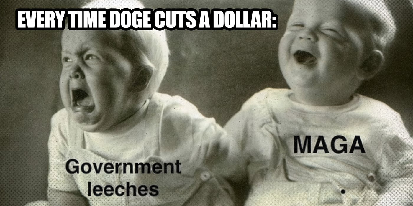 2025 11 25 doge cuts leaches