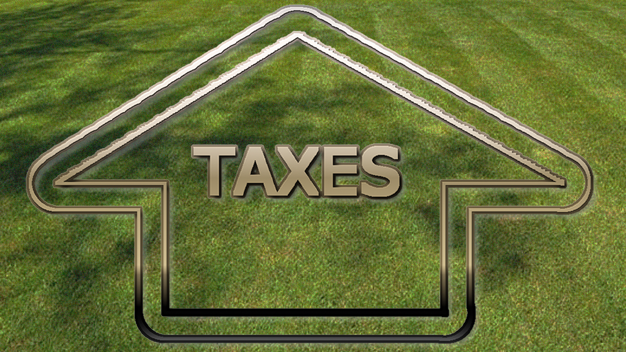 taxes