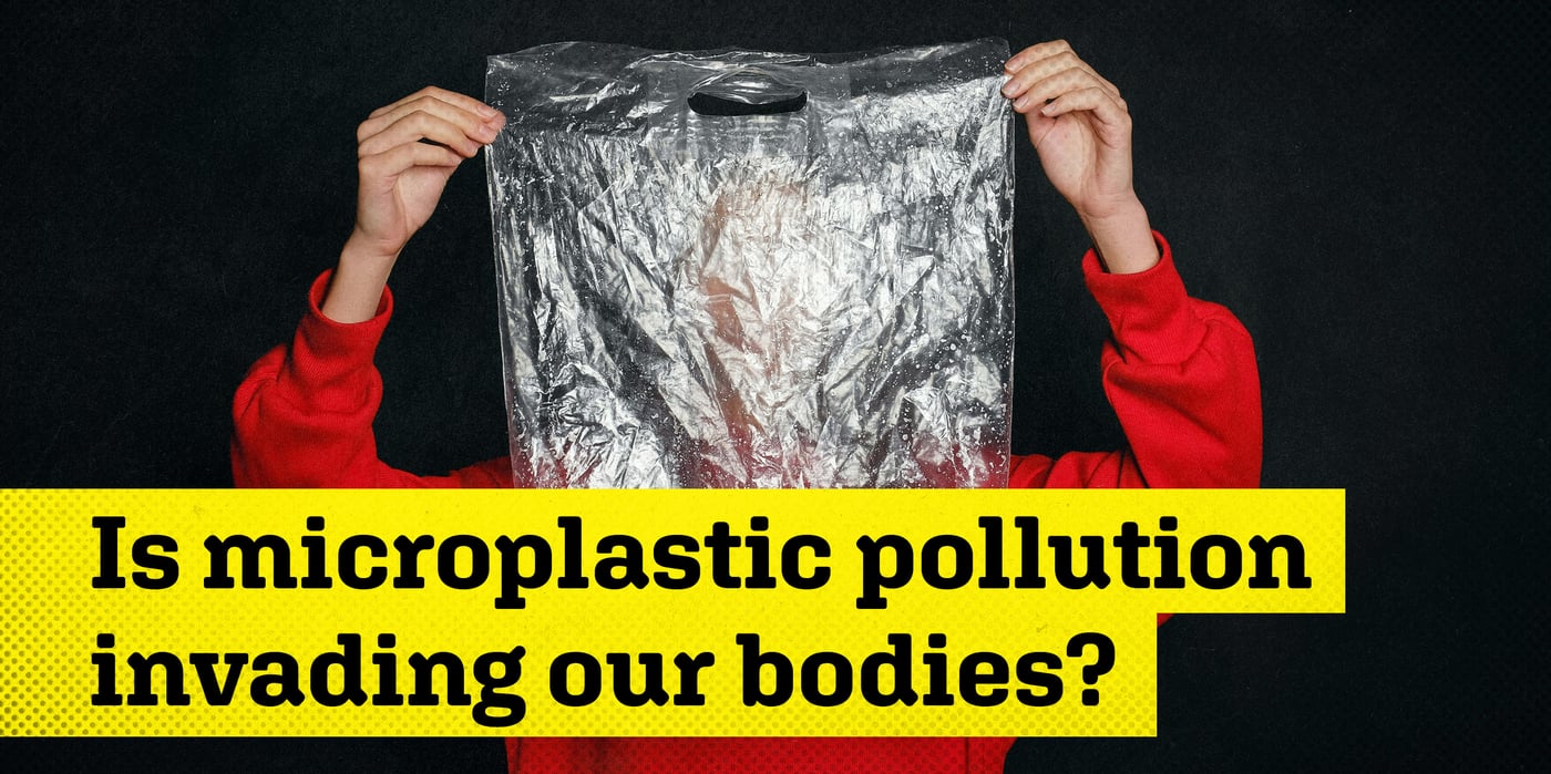 2026 1 28 microplastics