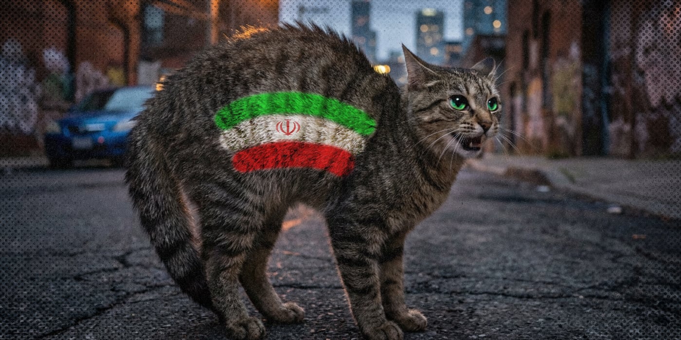 2026 3 13 iran cat cornered