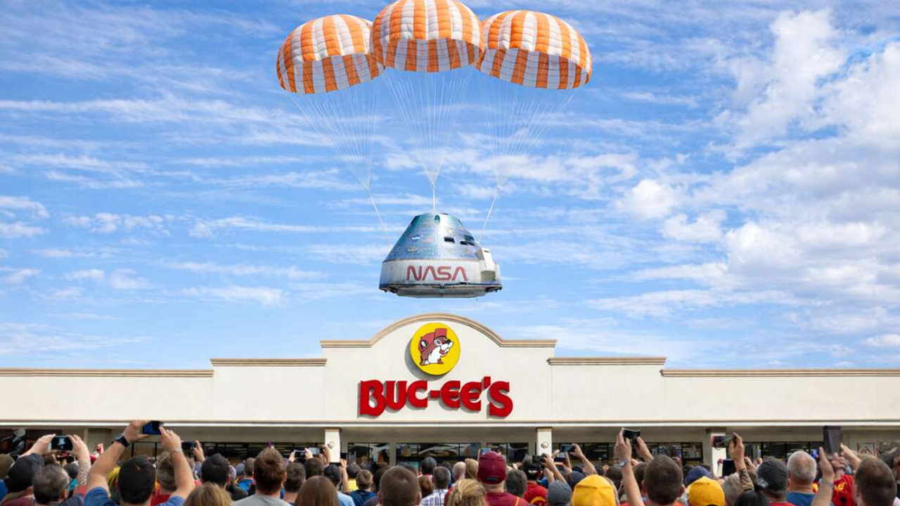 bee