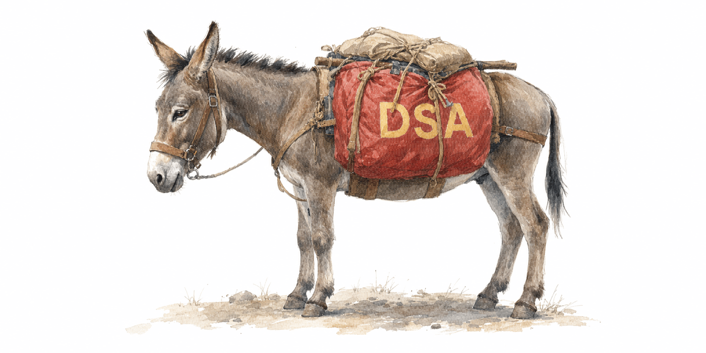 2026 6 18 donkey dsa democrats