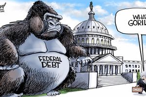 gorilla