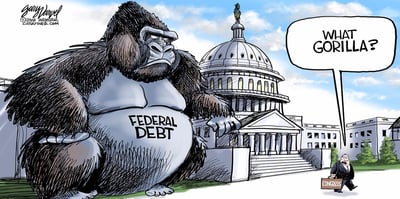gorilla