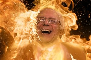 bernie