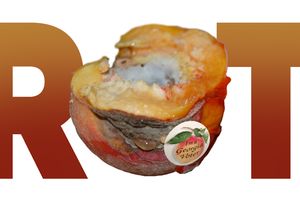 rot
